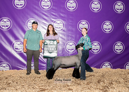 3rd Overall NC Market Lamb 2024 MLE